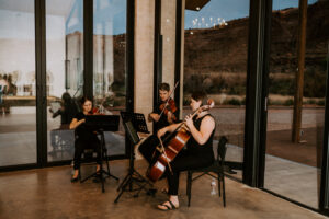 Professional String Quartet