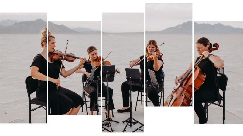 Black & White String Quartet