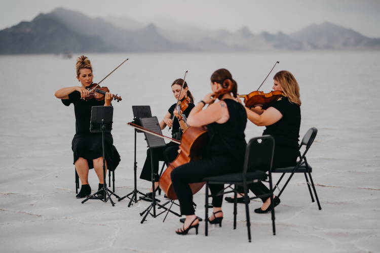 Black & White String Quartet