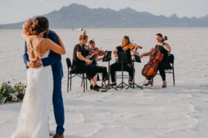Professional String Quartet